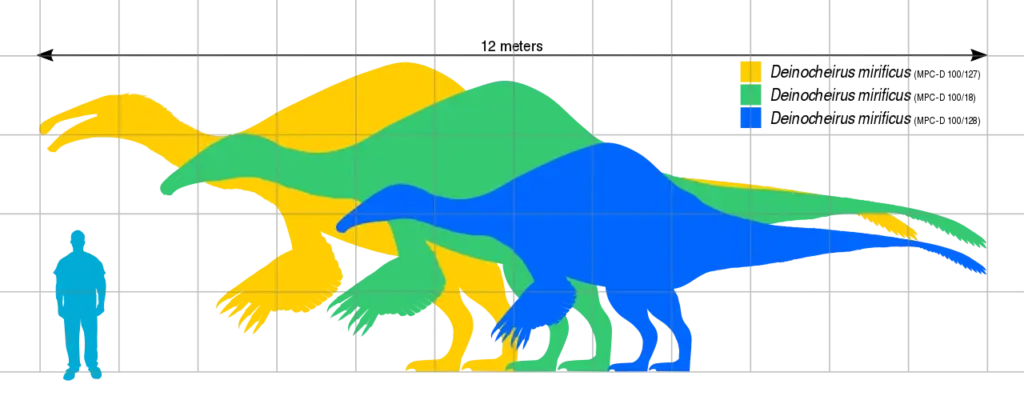 Deinocheirus im Groessenvergleich zum Menschen