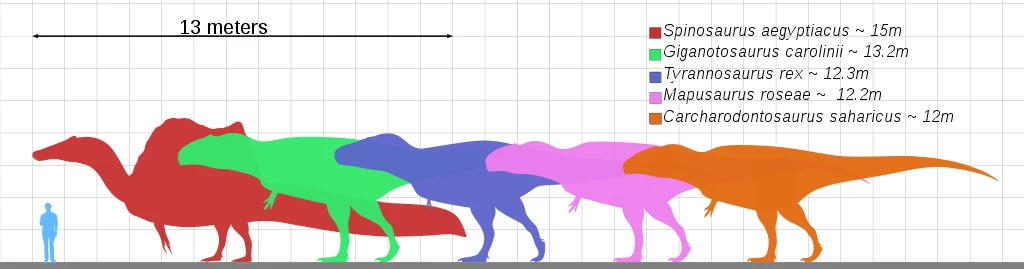 Groessenvergleich-T-Rex