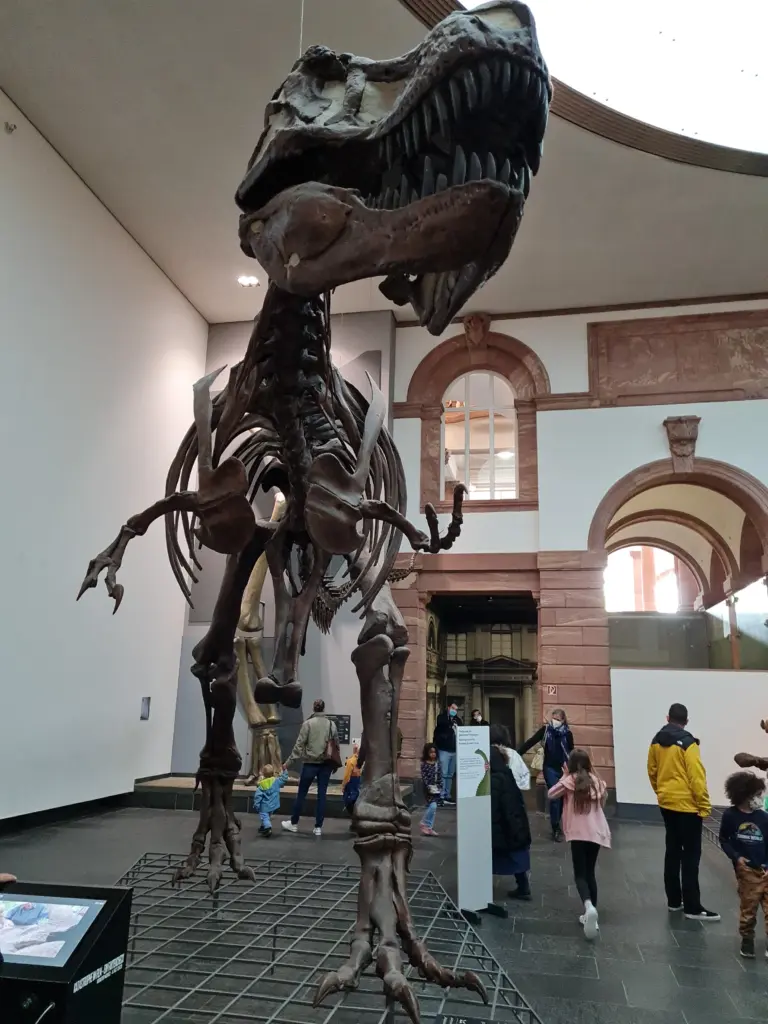 ©urzeittiere.net T. rex im Senckenberg Naturmuseum