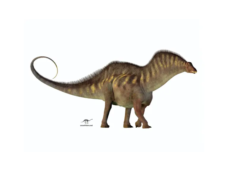 Amargasaurus im Seitenprofil