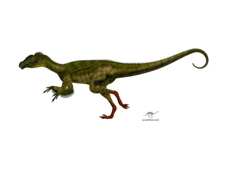 Ornitholestes im Seitenprofil