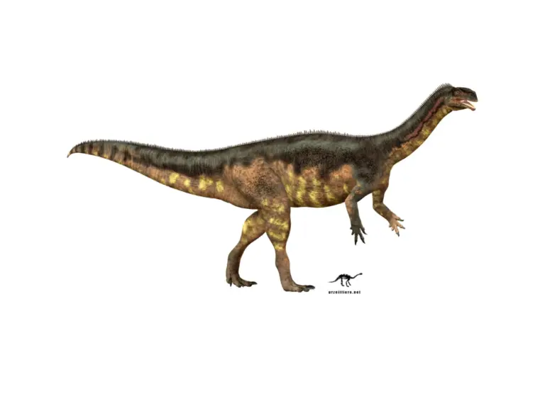 Plateosaurus im Seitenprofil
