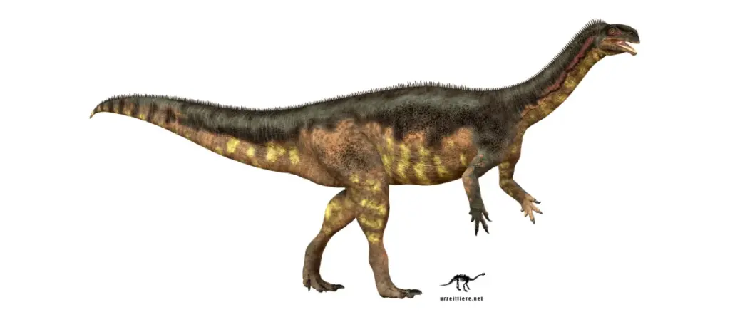 Plateosaurus trossingensis