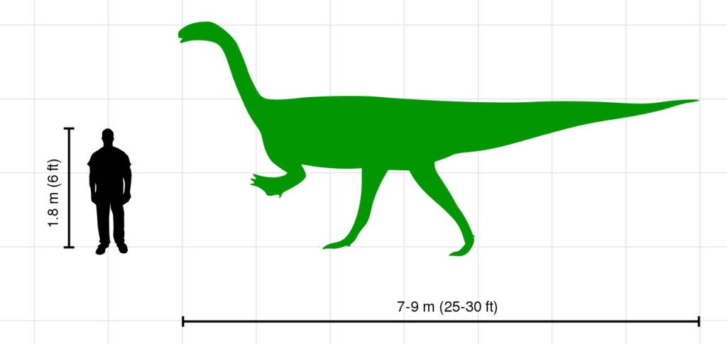 Plateosaurus Groessenvergleich