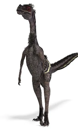 Velociraptor von Vorn