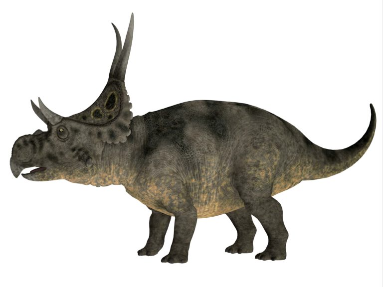 Diabloceratops