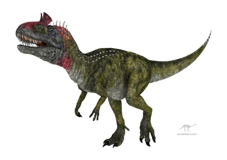 Cryolophosaurus ellioti - Gefrorene Kammechse