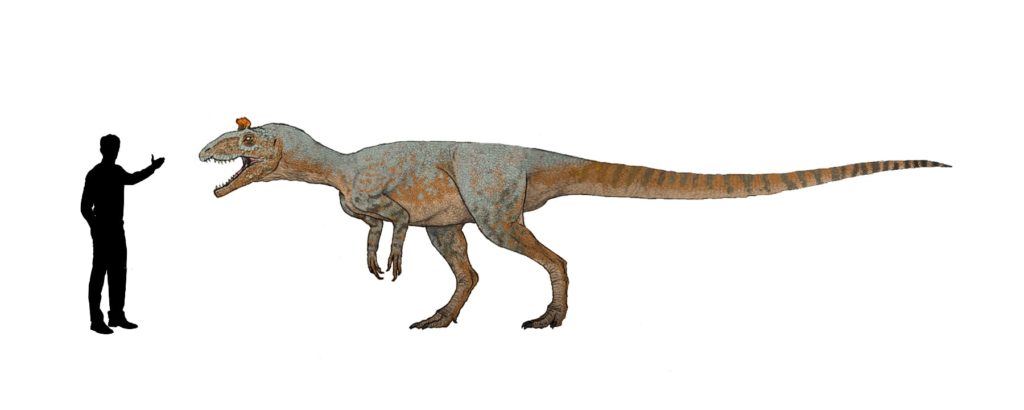 Cryolophosaurus Größenvergleich