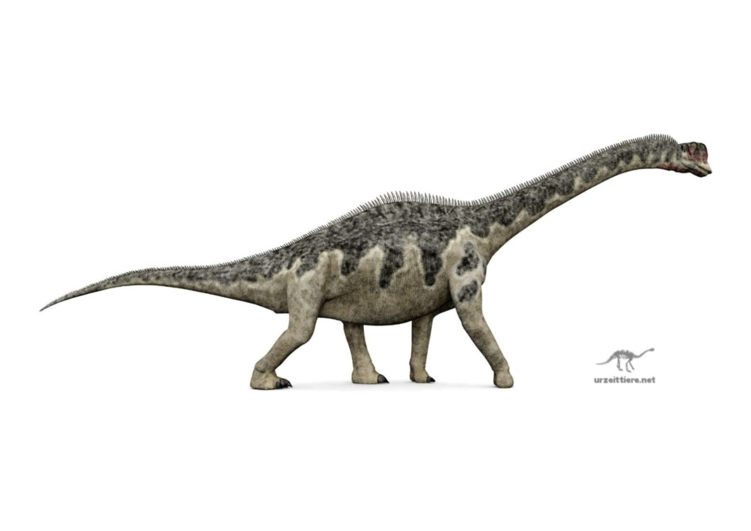 Dinosaurier aus Deutschland | urzeittiere.net
