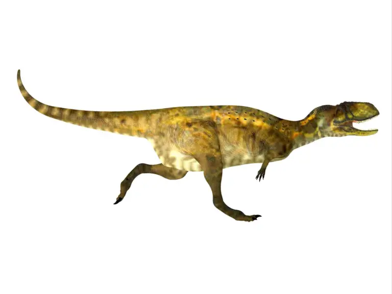 Rennender Dinosaurier Abelisaurus
