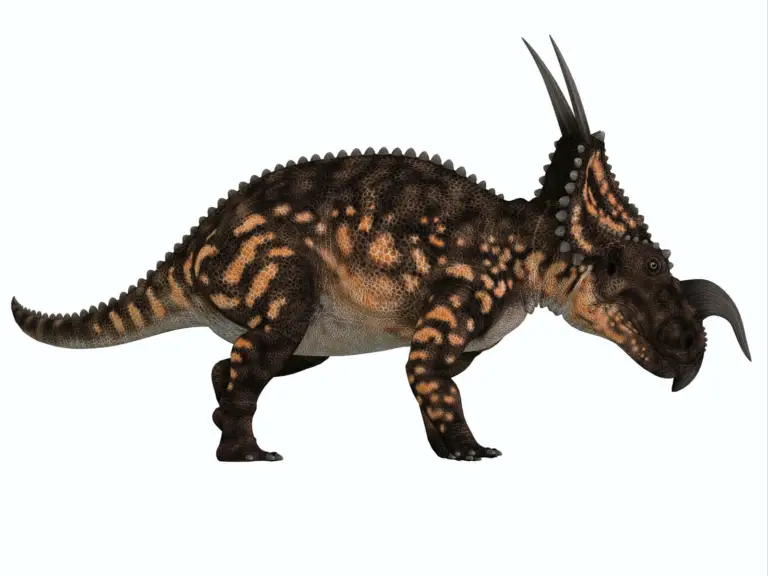 Dinosaurier Einiosaurus im Seitprofil
