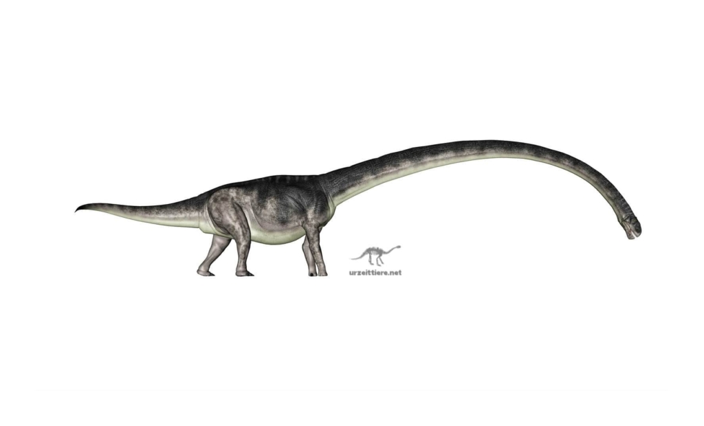 Omysaurus Omeisaurus | urzeittiere.net