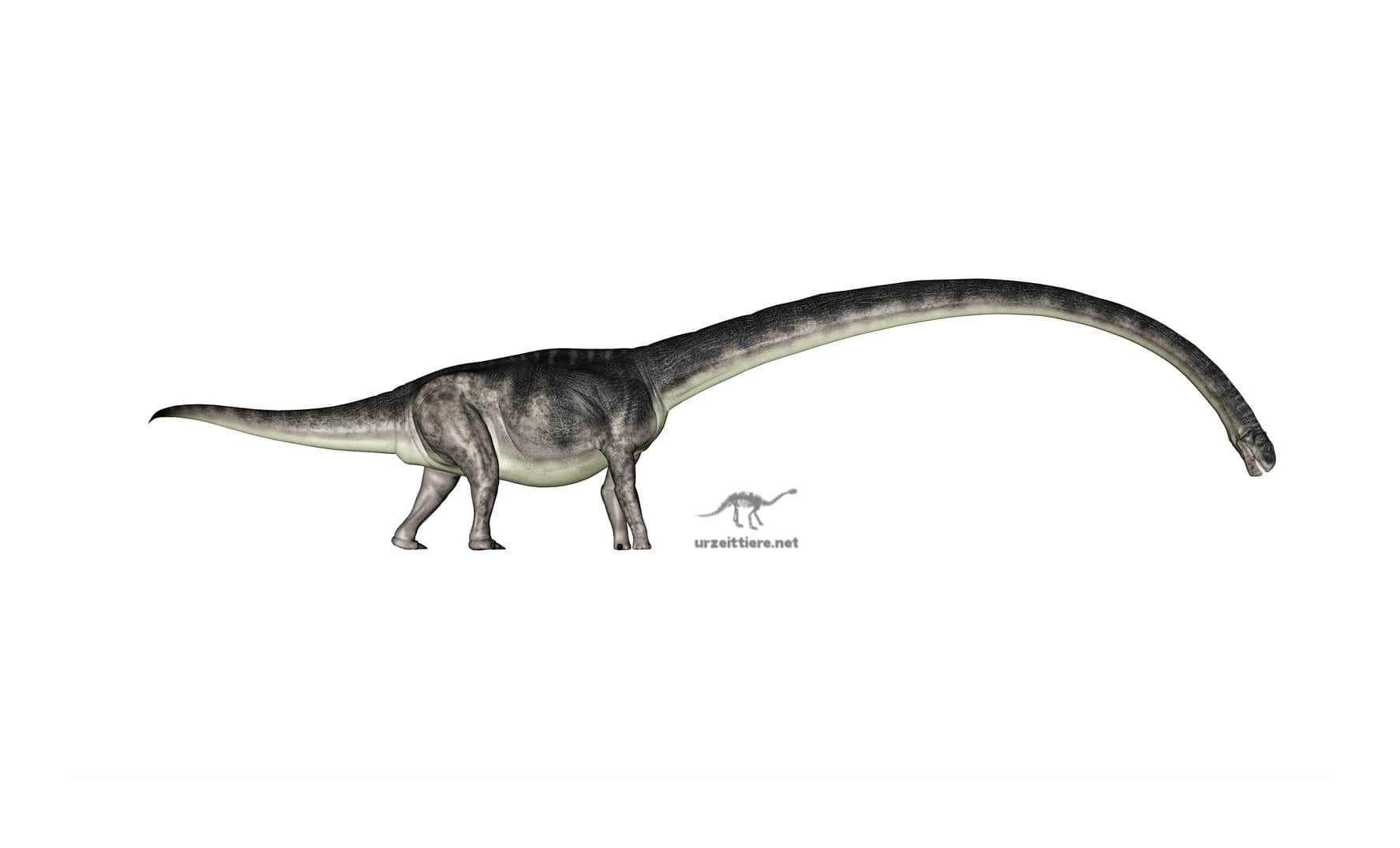 Dinosaurier Omeisaurus jiaoi