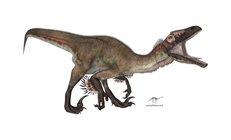 Dinosaurier Utahraptor ostrommaysi