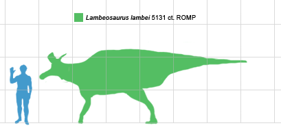 Lambeosaurus Größenvergleich zum Menschen
