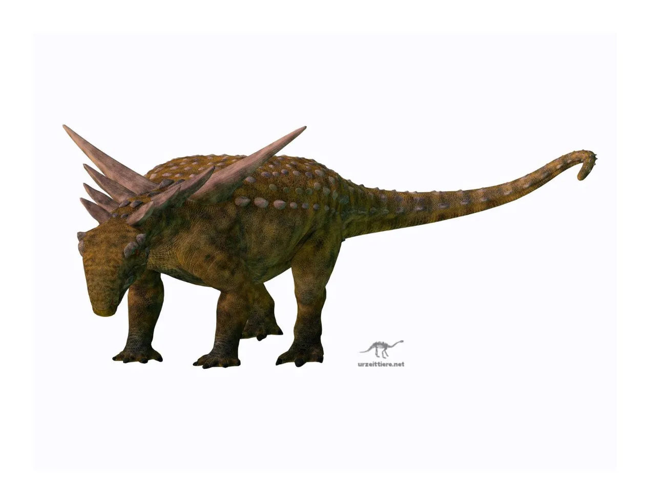 Sauropelta