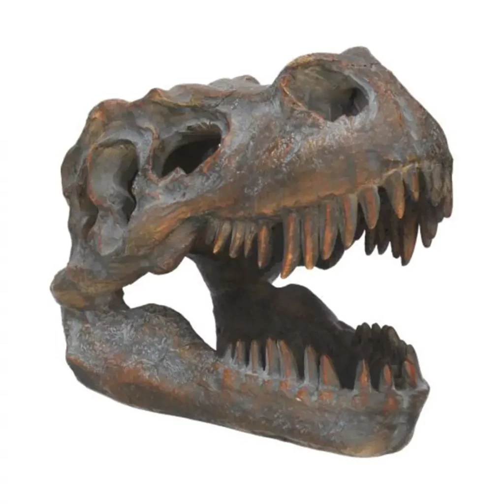 Tyrannosaurus Rex-Schädel