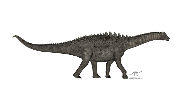 Ampelosaurus atacis