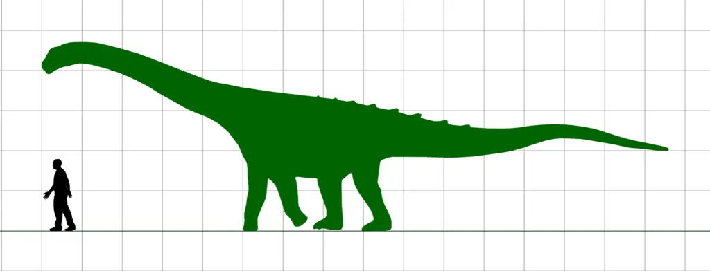 Ampelosaurus Grössenvergleich zum Menschen