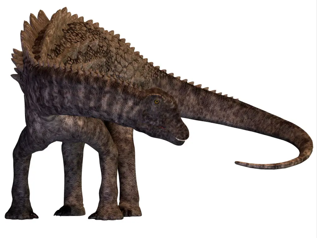 Ampelosaurus von Vorn