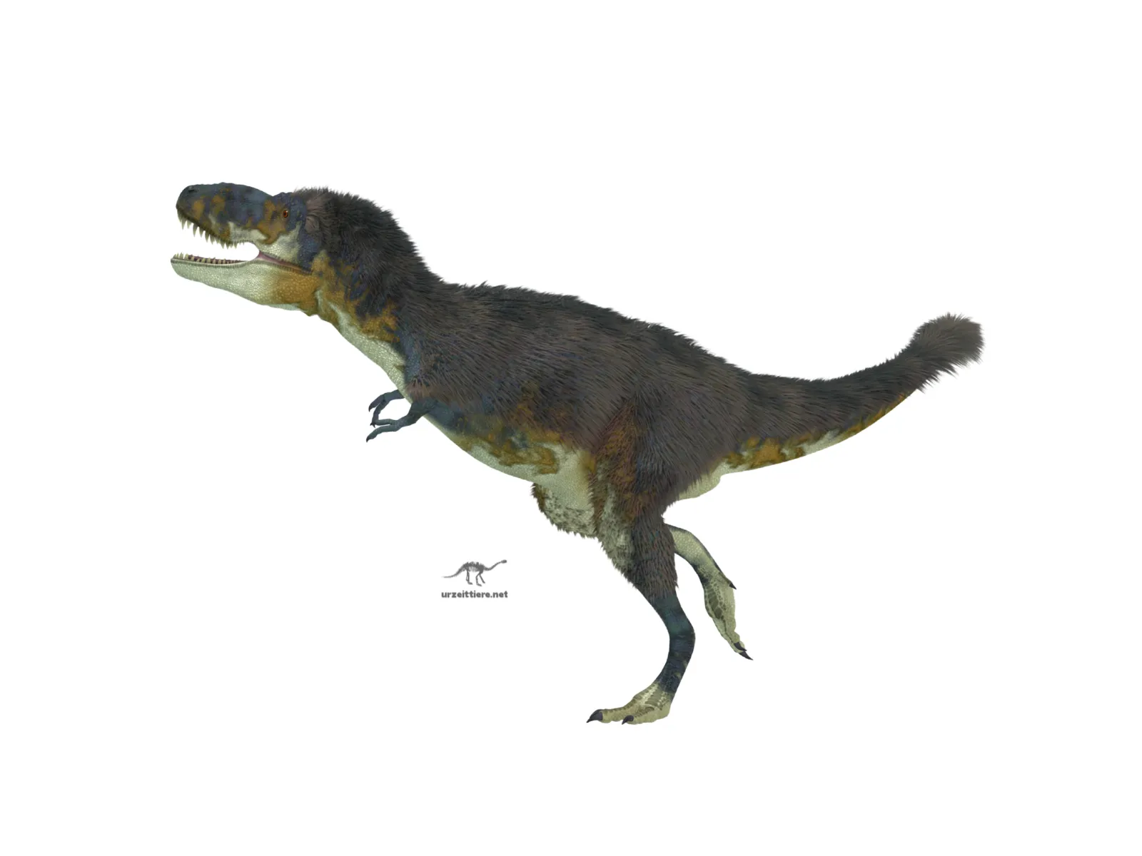 Daspletosaurus im Seitenprofil