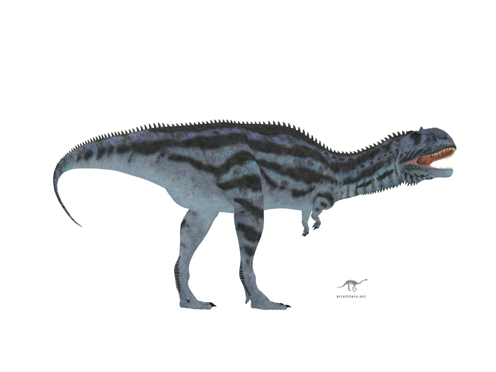 Majungasaurus crenatissimus im Seitenprofil