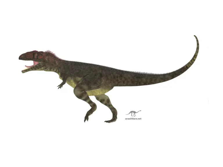 Mapusaurus roseae