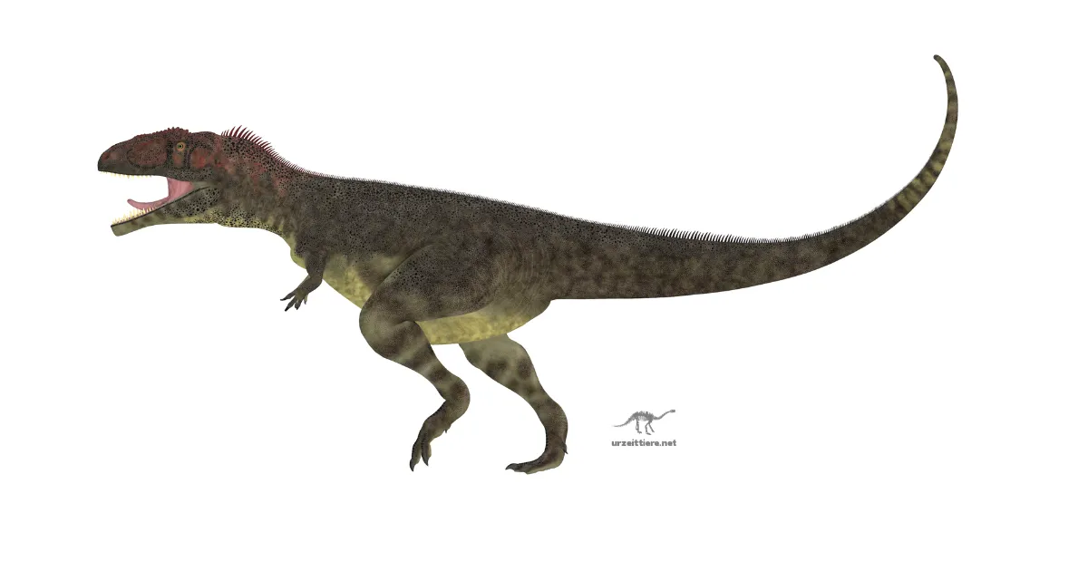 Mapusaurus roseae