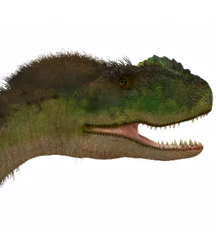 Rugops primus Schädel