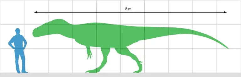 Wiehenvenator Größenvergleich