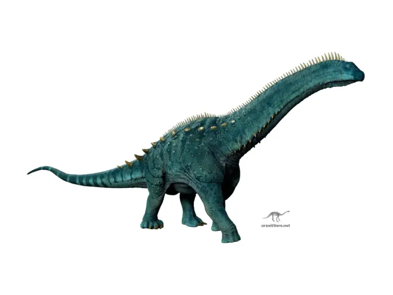 Alamosaurus vor weißem Hintergrund