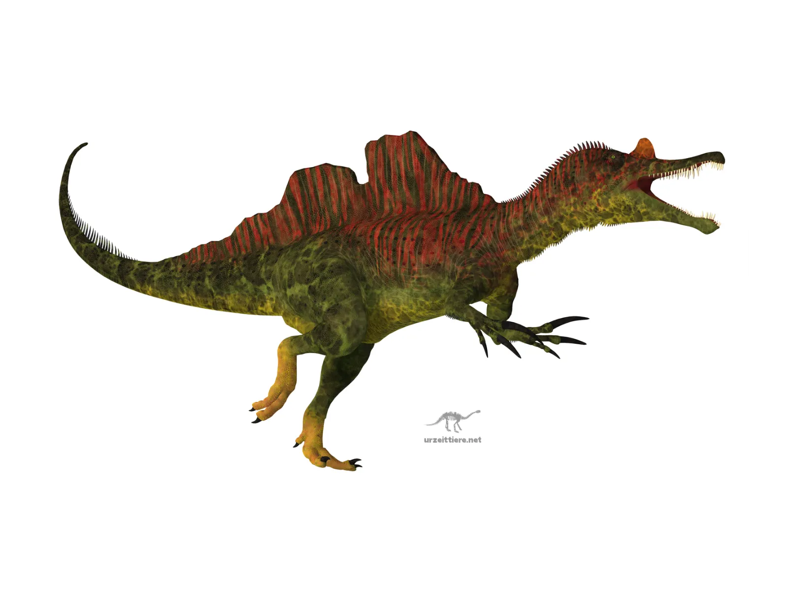 Ichthyovenator laosensis