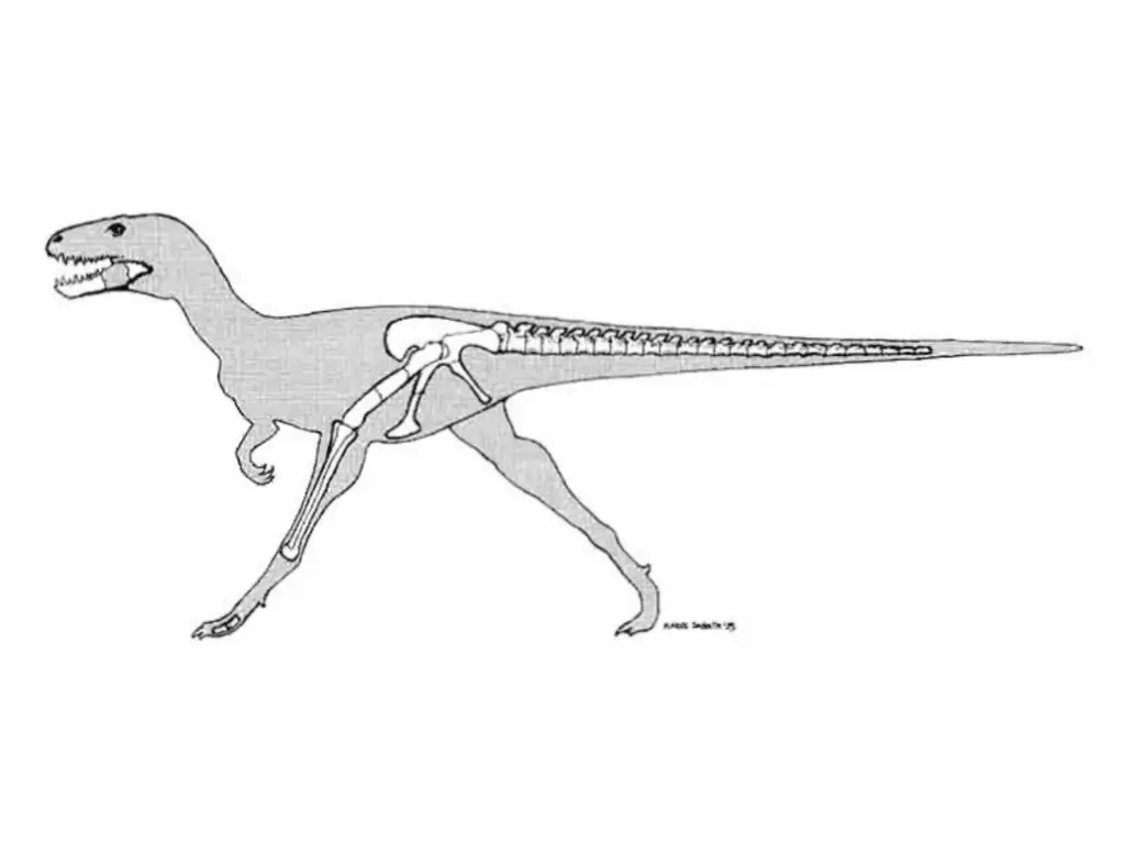 Bagaraatan ostromi