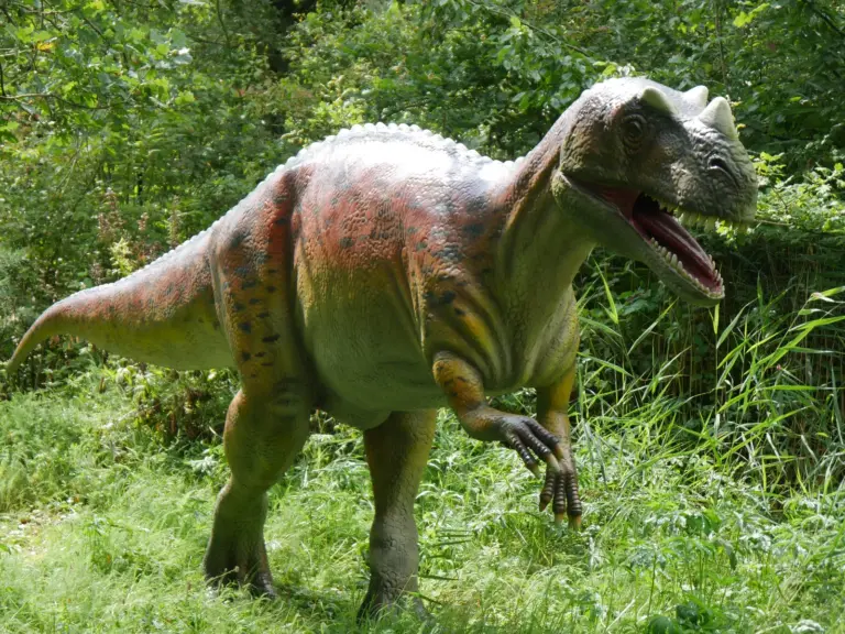 Ceratosaurus