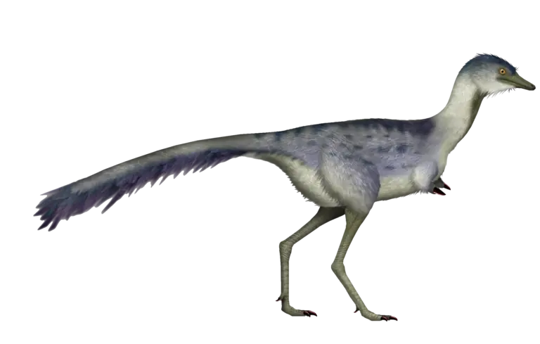 Bonapartenykus ultimus