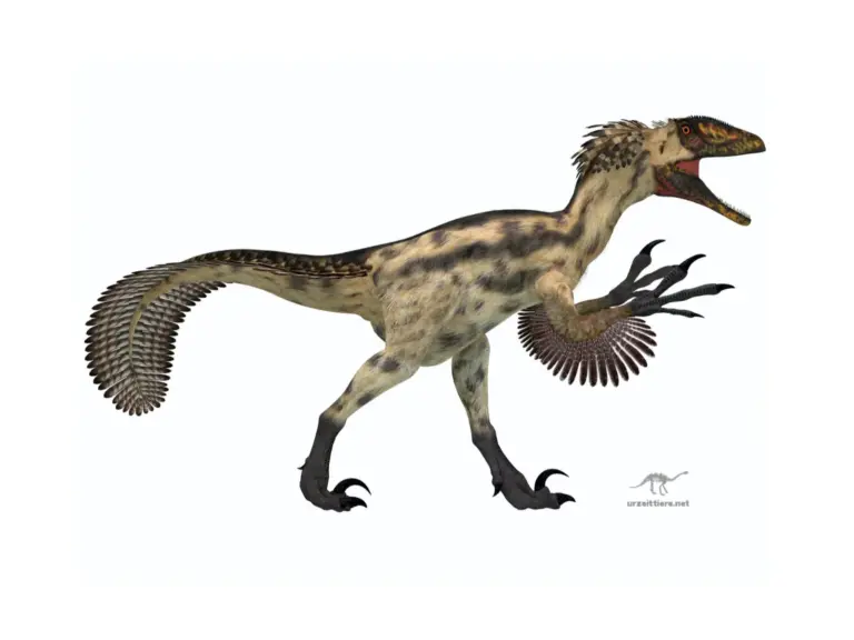 Deinonychus
