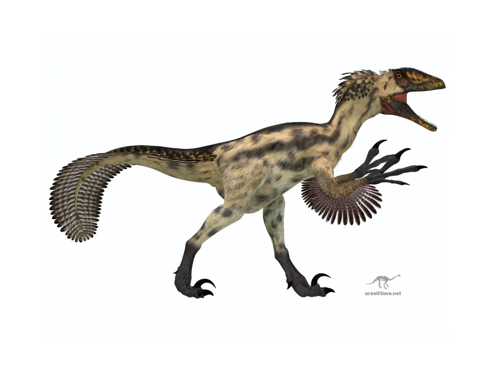Deinonychus
