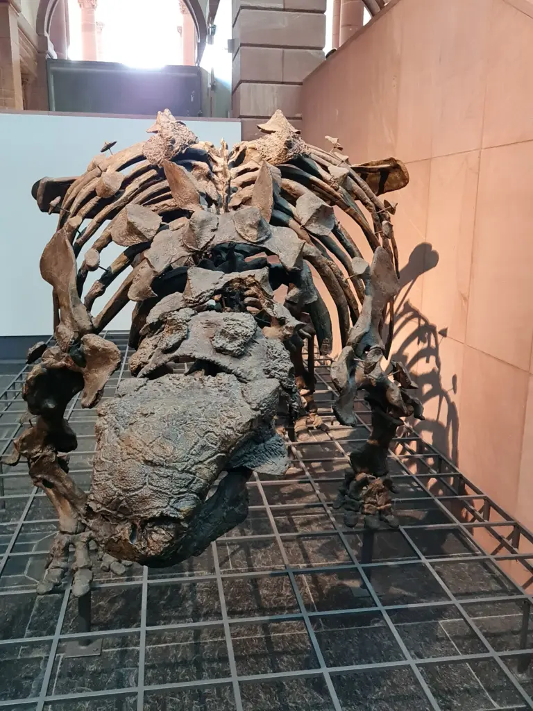 Euoplocephalus Skelett | ©urzeittiere.net