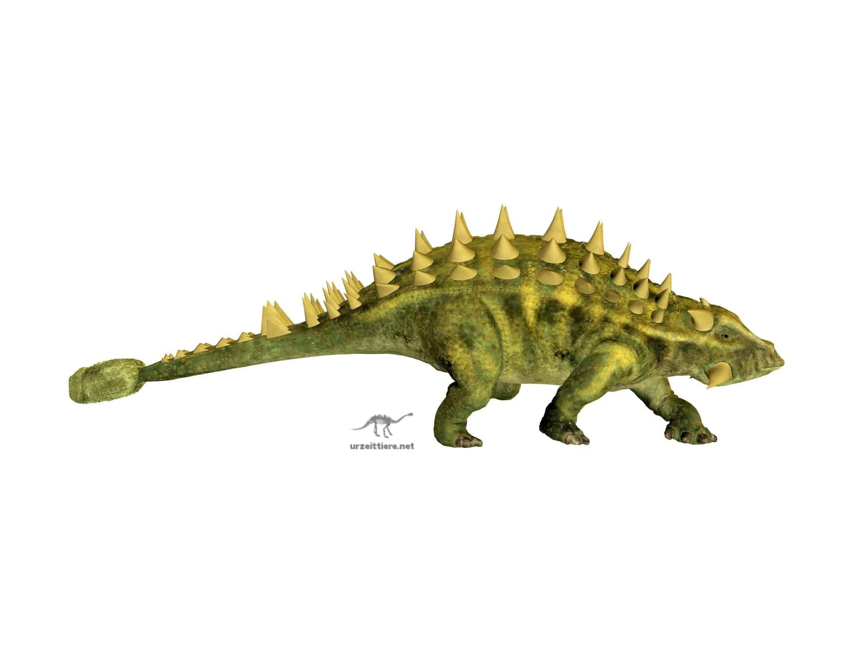 Talarurus plicatospineus, Dinosaurier mit Schwanzkeule