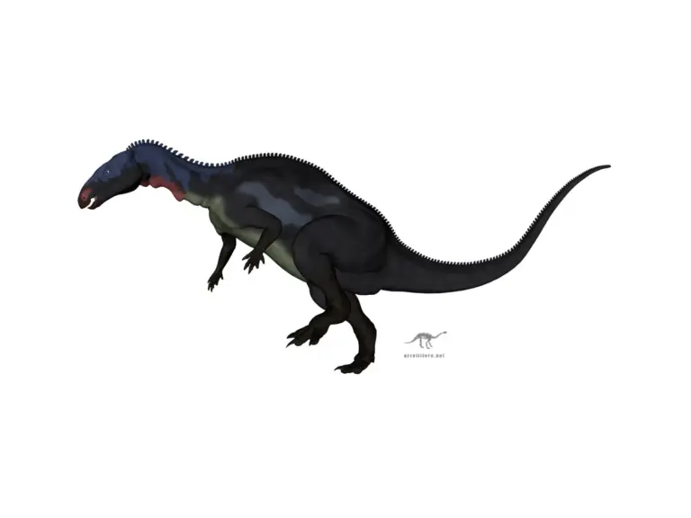 Camposaurus arizonensis
