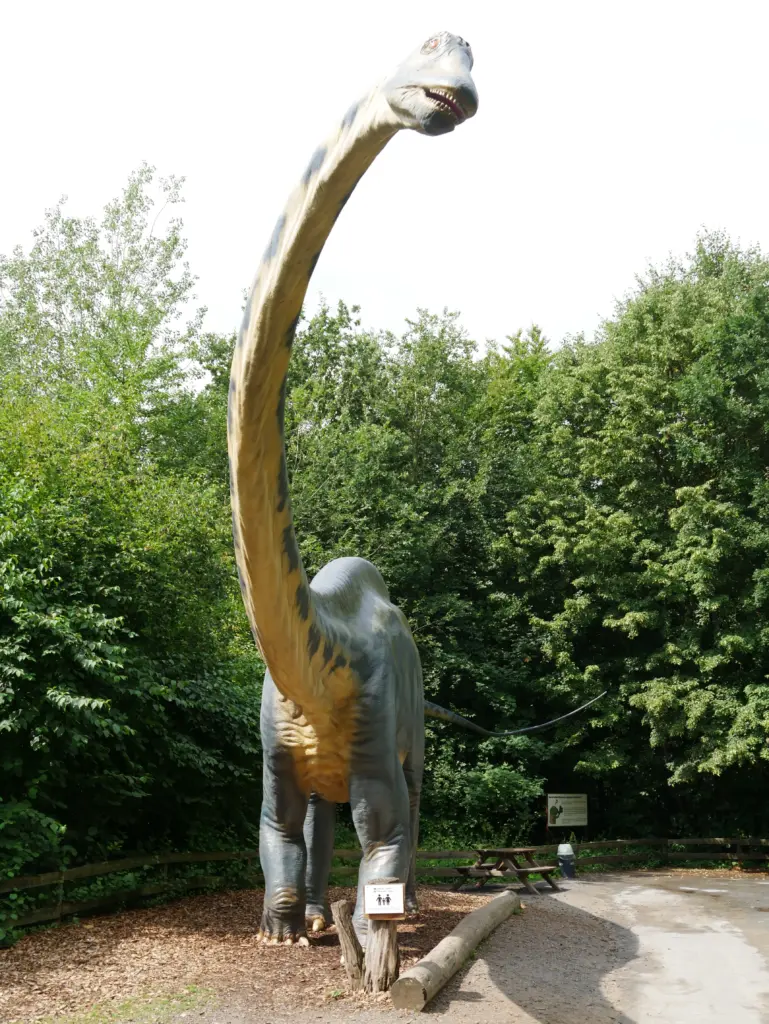 Diplodocus