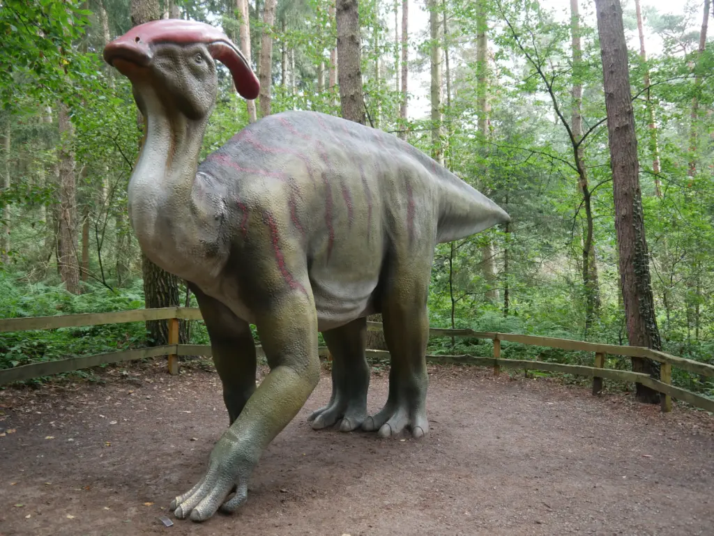 Parasaurolophus