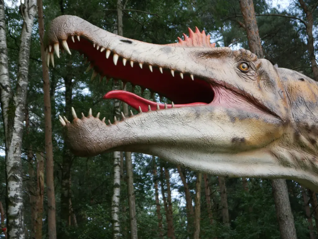 Spinosaurus, Maul mit "Knick" im vorderen Oberkiefer