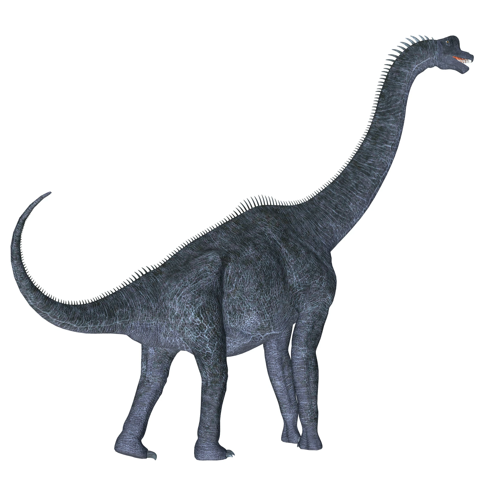 Brachiosaurus