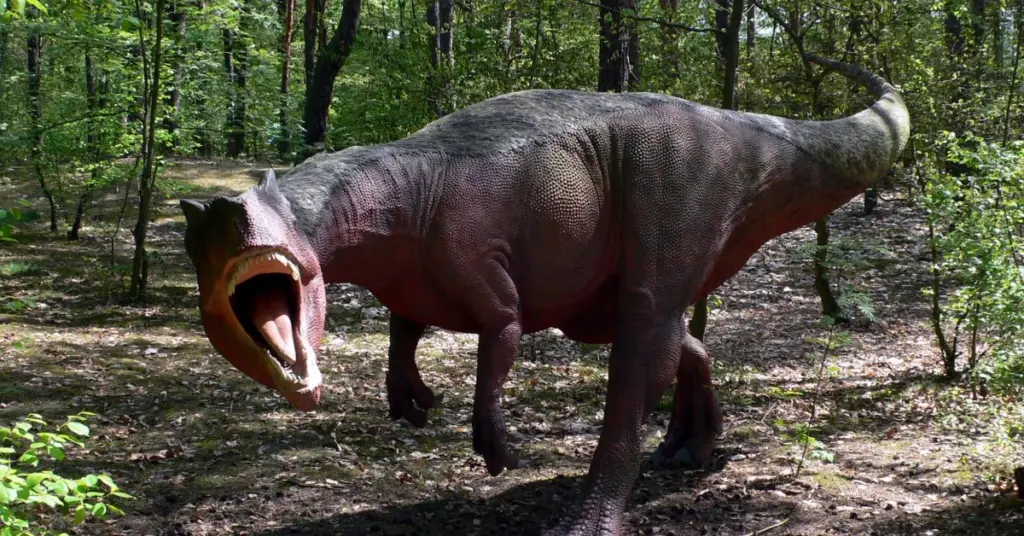 Allosaurus