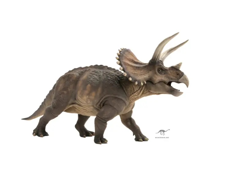 Triceratops im Seitenprofil