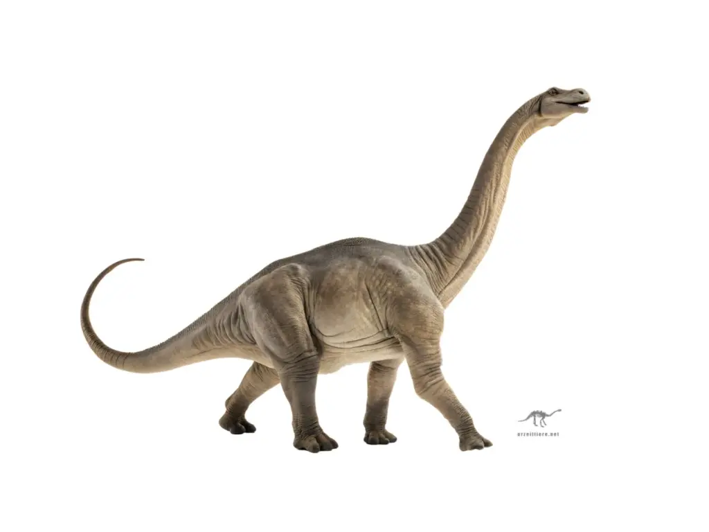 Brontosaurus im Seitprofil