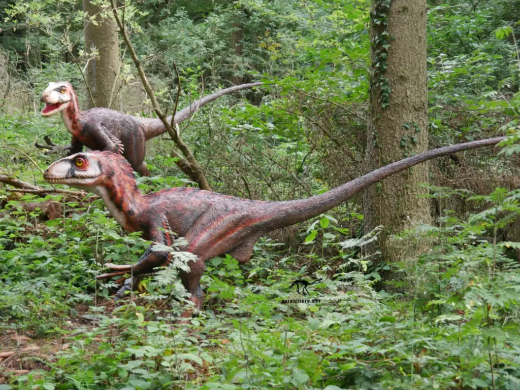 Deinonychus |  Größe, Beute & Sichelkralle 