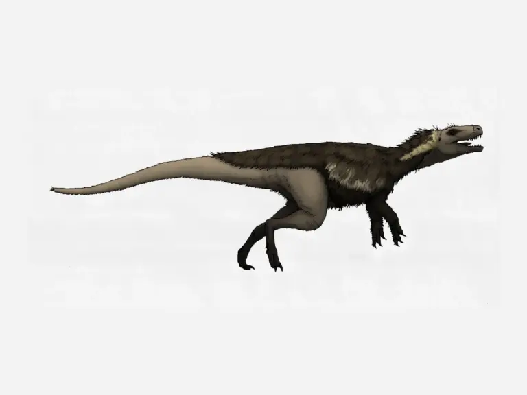 Gnathovorax: Der älteste fleischfressende Dinosaurier