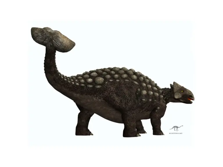Ankylosaurus im Seitenprofil